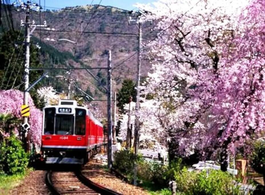 Forest Villa هاكوني المظهر الخارجي الصورة